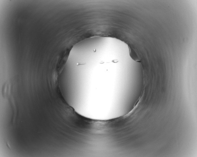 X0000088680192200706211915