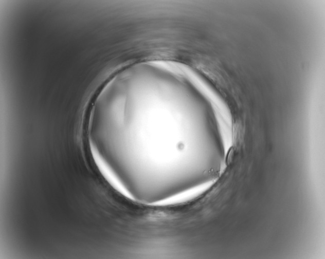 X0000088680195200706211915