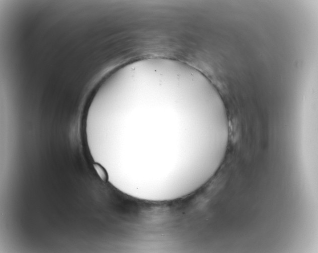 X0000088680196200706211915