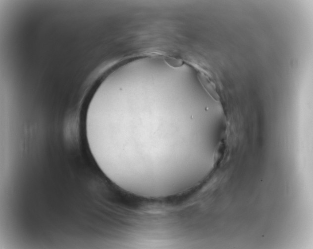 X0000088680200200706211915