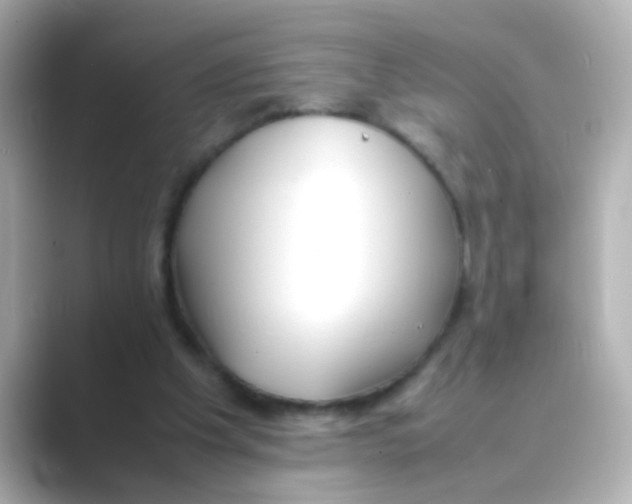 X0000088680201200706211915