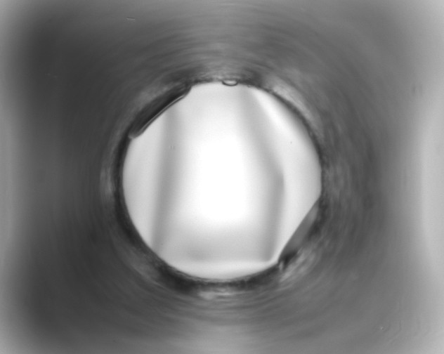 X0000088680203200706211915