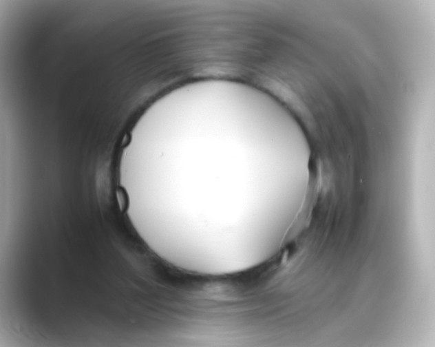 X0000088680204200706211915