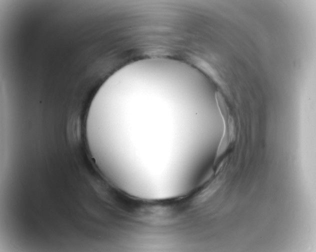 X0000088680205200706211915