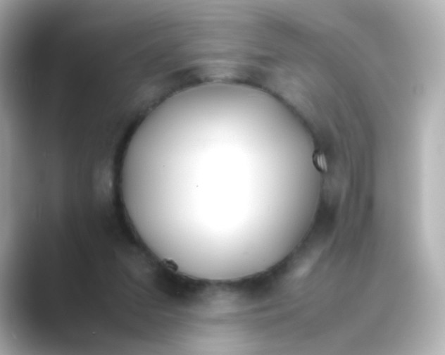 X0000088680207200706211915