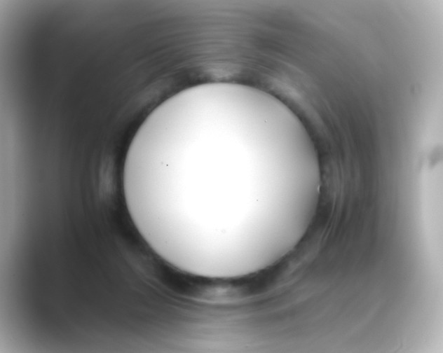 X0000088680212200706211915