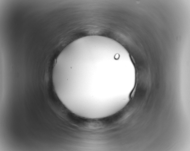 X0000088680215200706211915