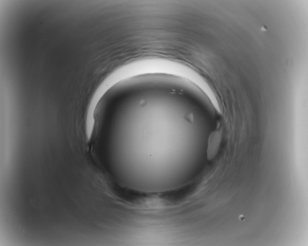 X0000088680219200706211915