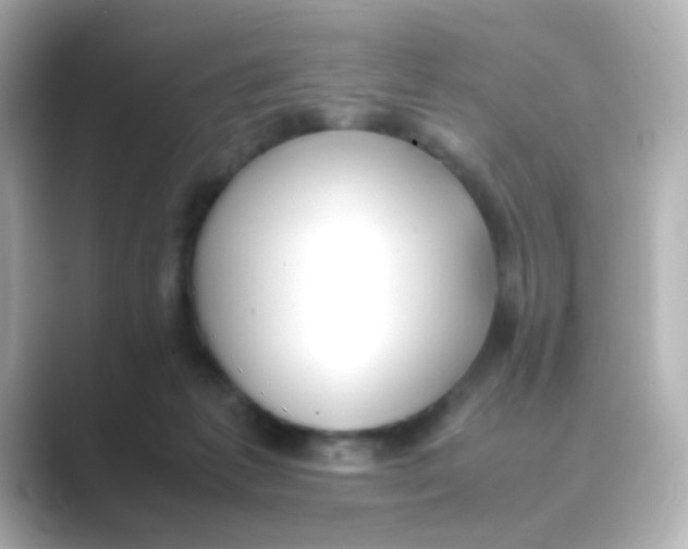 X0000088680221200706211914