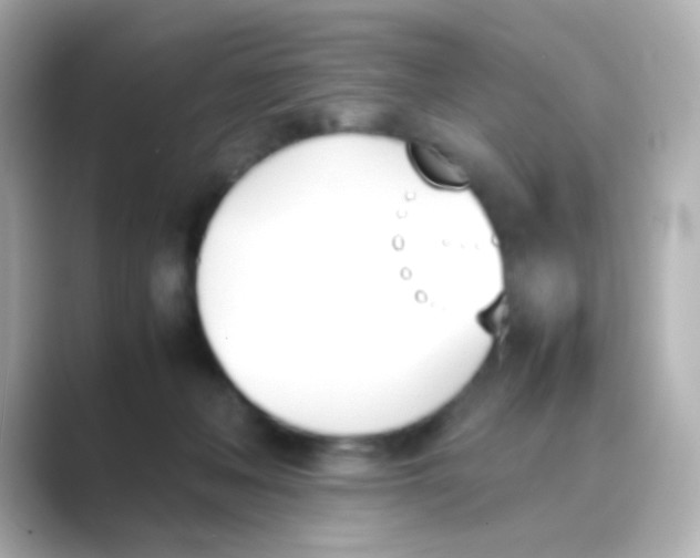 X0000088680222200706211914