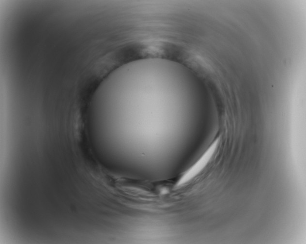 X0000088680223200706211914