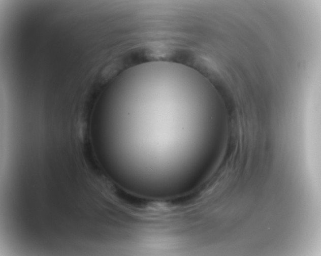 X0000088680227200706211914