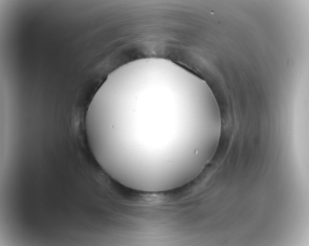 X0000088680233200706211914