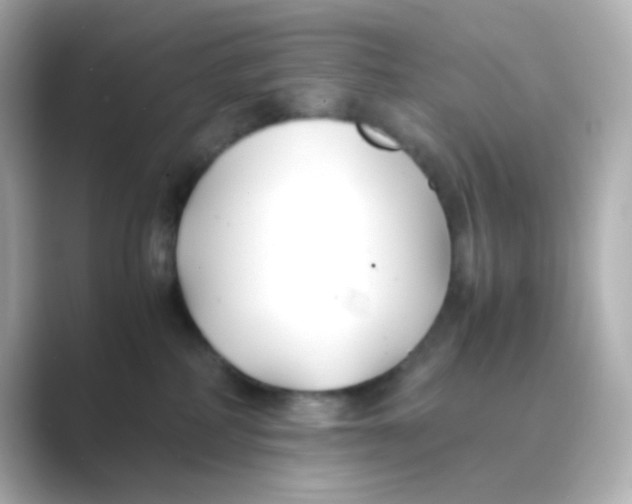 X0000088680234200706211914