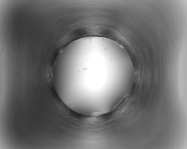 X0000088680237200706211914