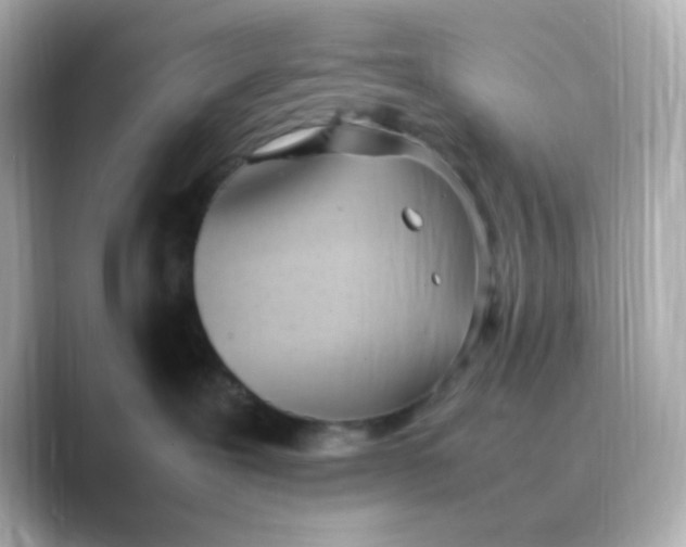 X0000088680239200706211914