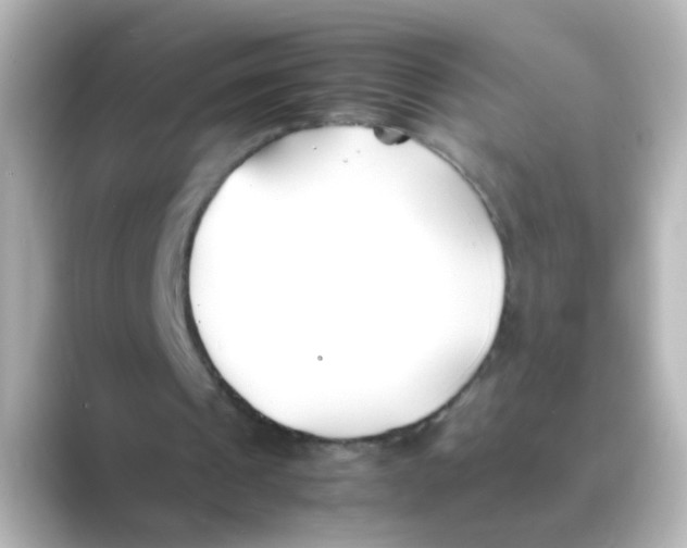 X0000088680241200706211914