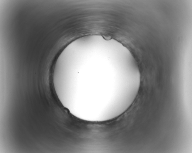 X0000088680242200706211914