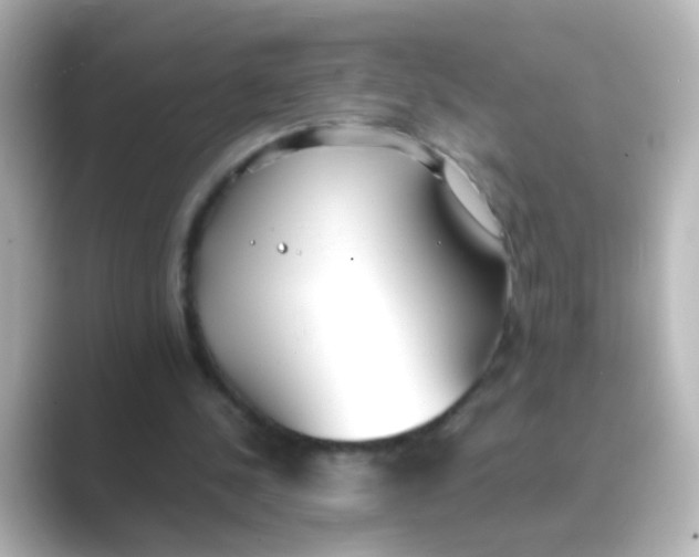 X0000088680244200706211914