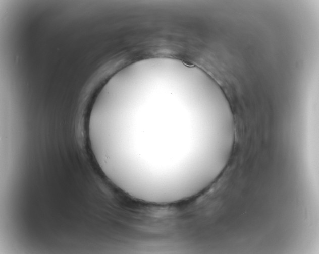 X0000088680245200706211914