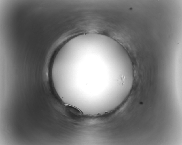 X0000088680246200706211914