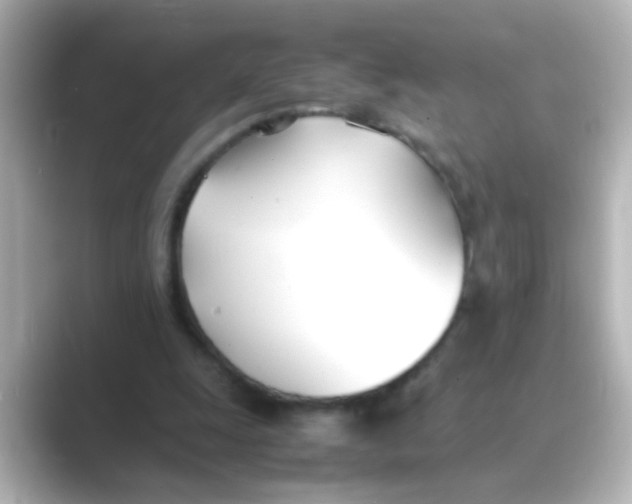 X0000088680247200706211914