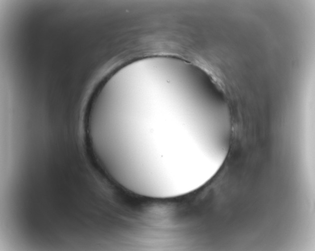 X0000088680248200706211914