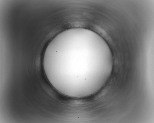 X0000088680250200706211914