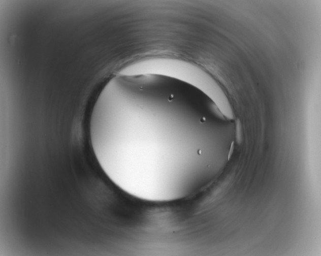 X0000088680252200706211914