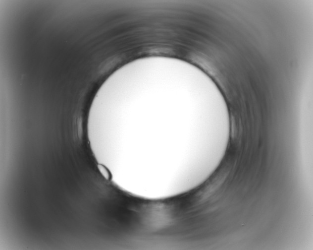 X0000088680253200706211914