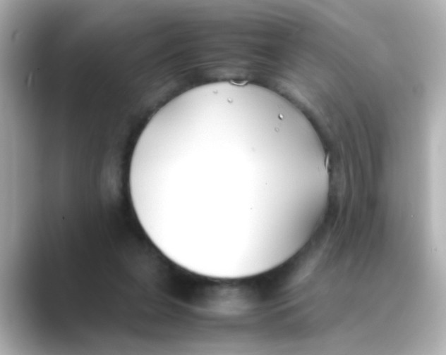 X0000088680255200706211914