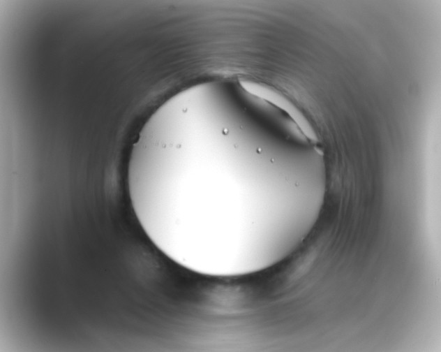 X0000088680256200706211914