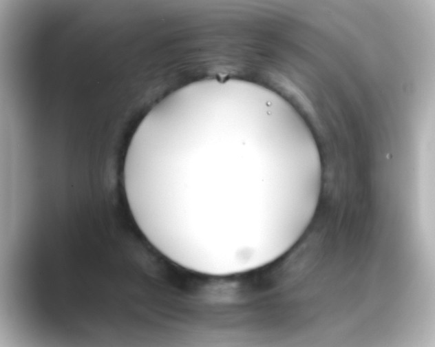 X0000088680257200706211914