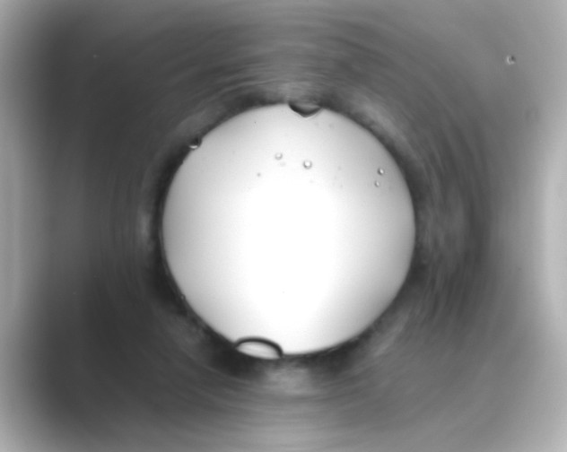 X0000088680258200706211914