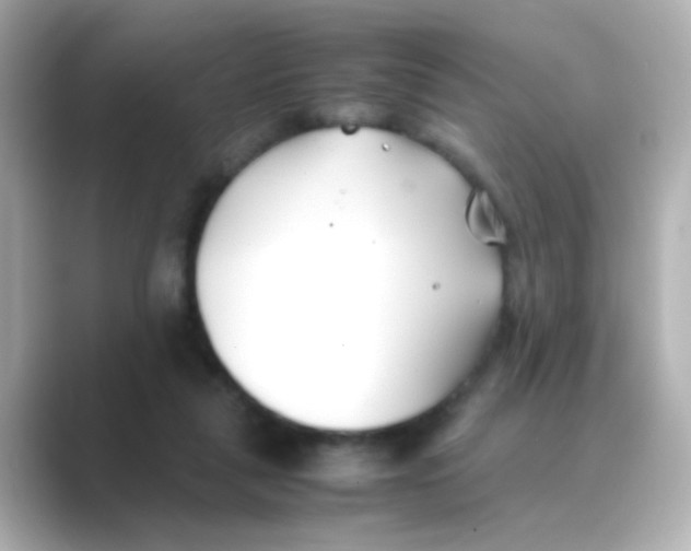 X0000088680259200706211914