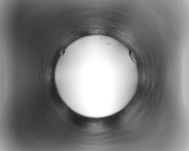 X0000088680263200706211914