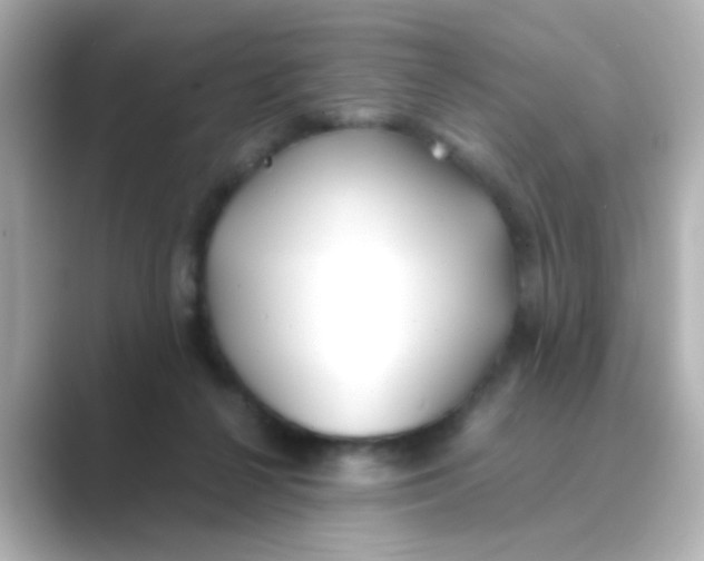 X0000088680264200706211914