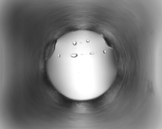 X0000088680268200706211914