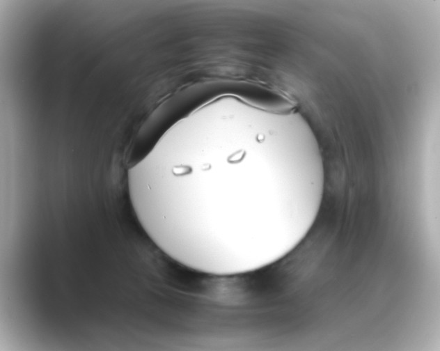 X0000088680273200706211914