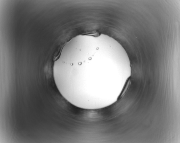 X0000088680287200706211914