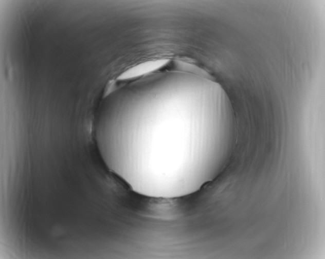 X0000088680288200706211914