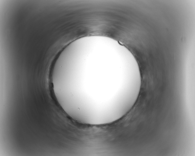 X0000088680290200706211914