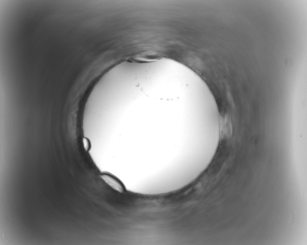 X0000088680291200706211914