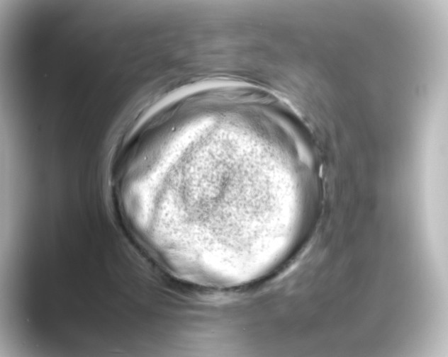 X0000088680293200706211914