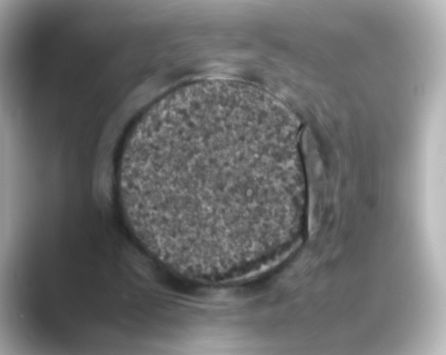 X0000088680295200706211914