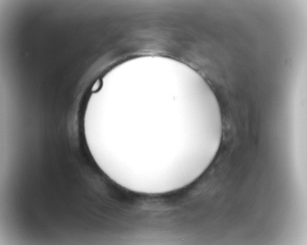 X0000088680296200706211914