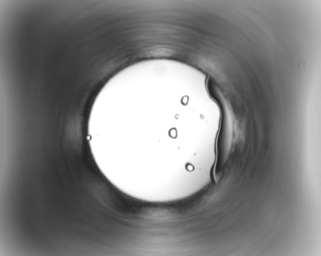 X0000088680300200706211914