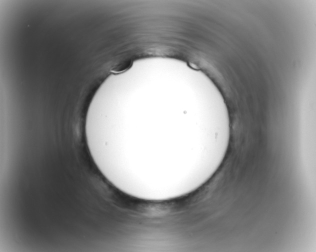 X0000088680305200706211914