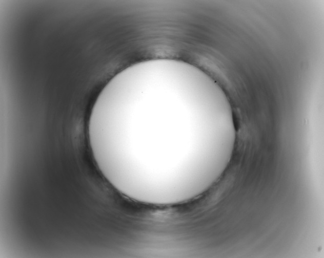 X0000088680306200706211914