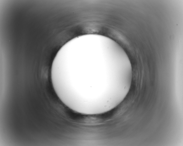 X0000088680315200706211913